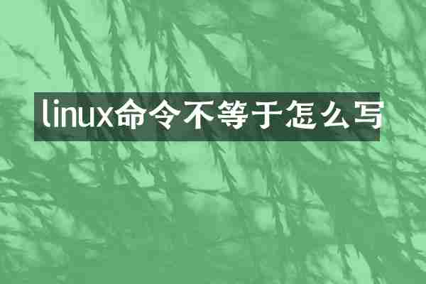 linux命令不等于怎么写