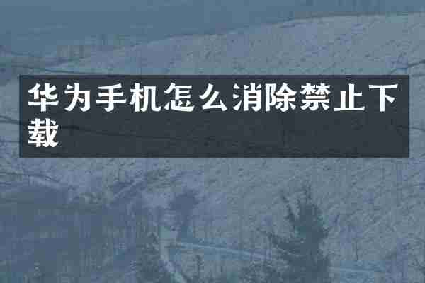 华为手机怎么消除禁止下载