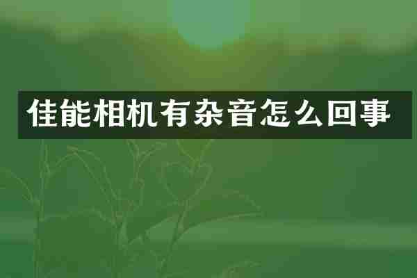 佳能相机有杂音怎么回事