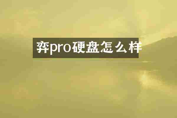 弈pro硬盘怎么样