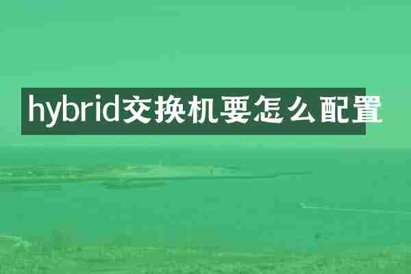 hybrid交换机要怎么配置