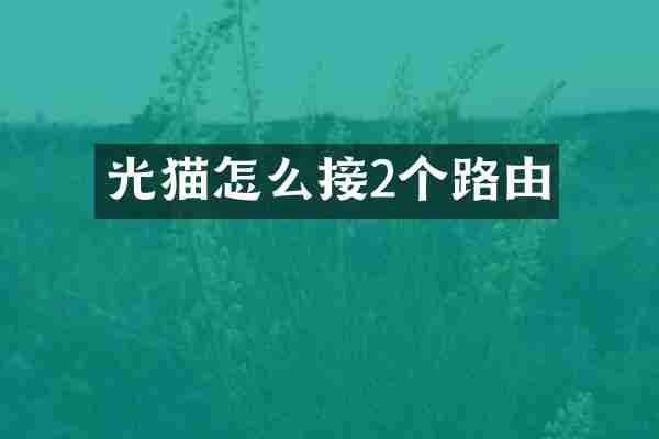 光猫怎么接2个路由