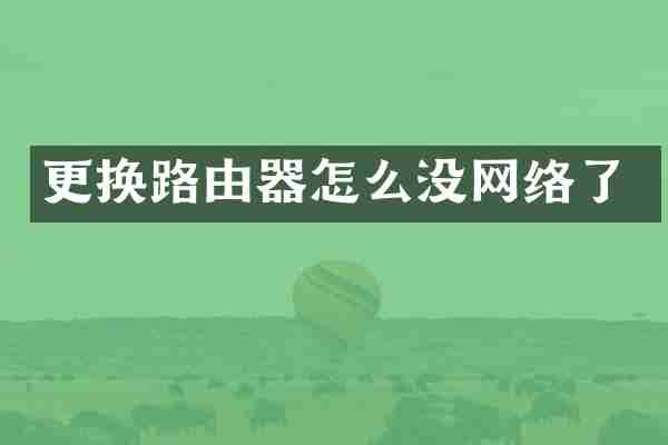 更换路由器怎么没网络了