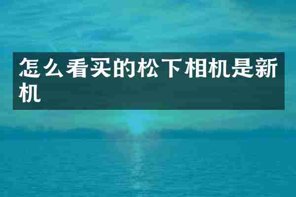 怎么看买的松下相机是新机