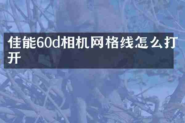 佳能60d相机网格线怎么打开