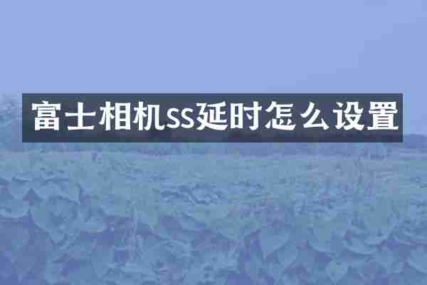 富士相机ss延时怎么设置