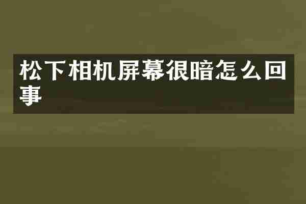 松下相机屏幕很暗怎么回事