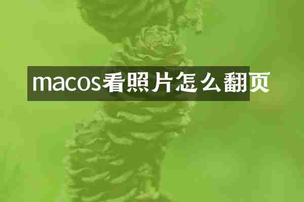 macos看照片怎么翻页