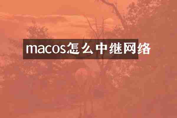 macos怎么中继网络