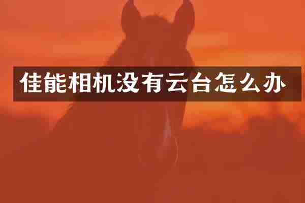 佳能相机没有云台怎么办