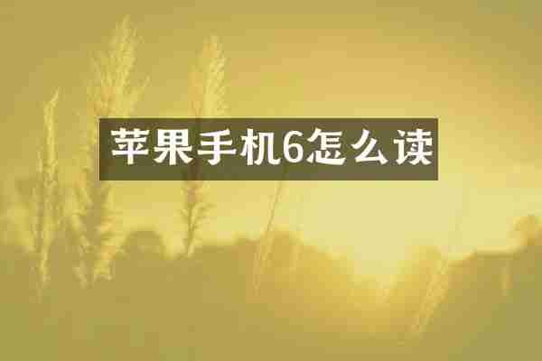 苹果手机6怎么读