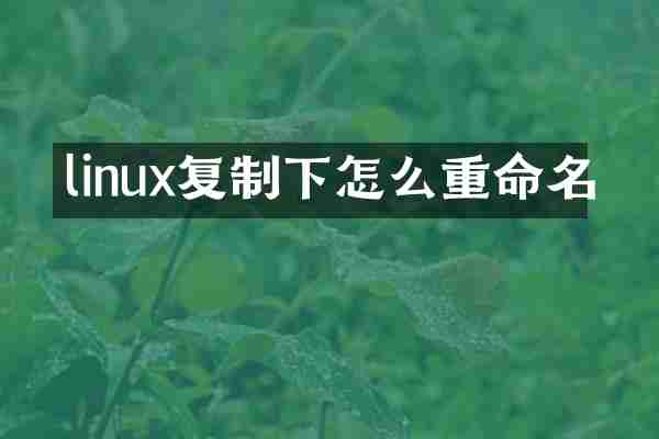 linux复制下怎么重命名