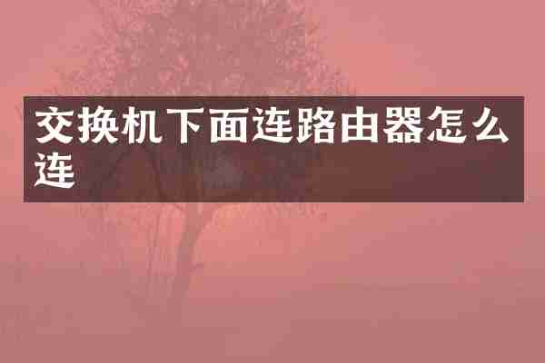交换机下面连路由器怎么连