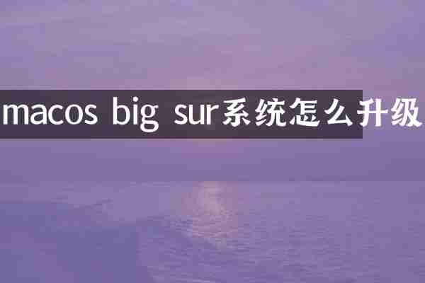 macos big sur系统怎么升级