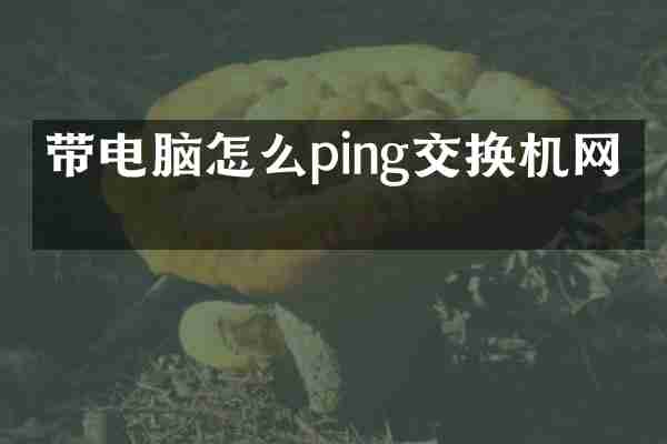带电脑怎么ping交换机网关