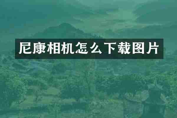尼康相机怎么下载图片