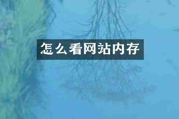 怎么看网站内存