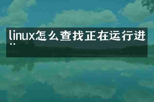 linux怎么查找正在运行进程