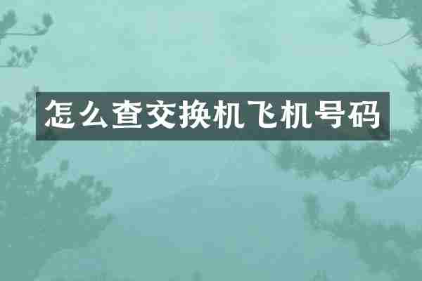 怎么查交换机飞机号码