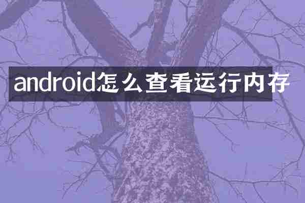 android怎么查看运行内存
