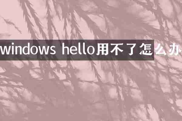 windows hello用不了怎么办