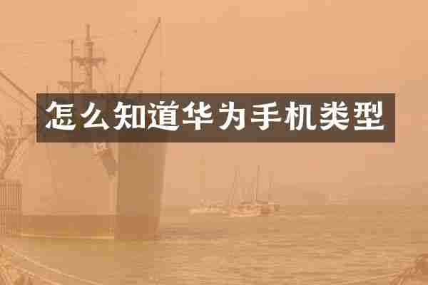 怎么知道华为手机类型