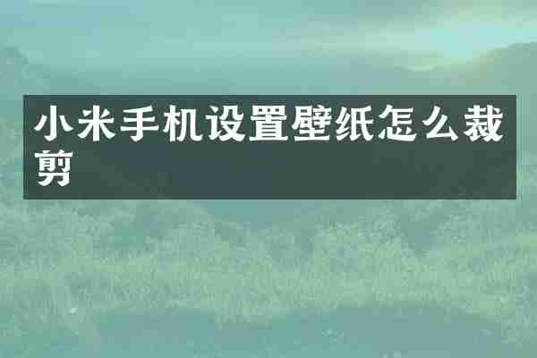 小米手机设置壁纸怎么裁剪