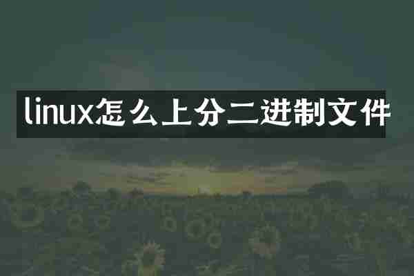 linux怎么上分二进制文件