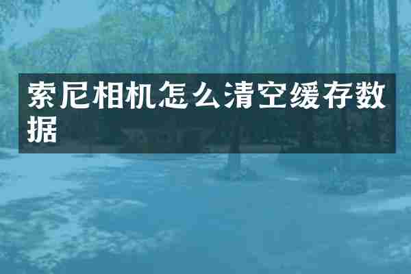 相机怎么清空缓存数据