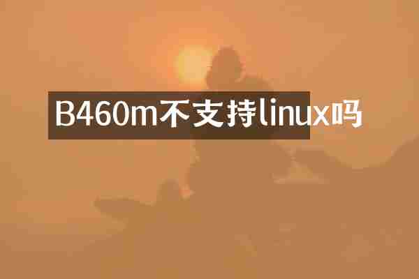 B460m不支持linux吗