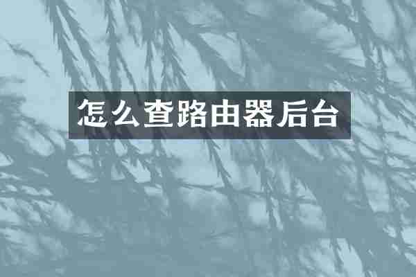 怎么查路由器后台