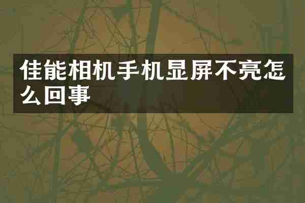 佳能相机手机显屏不亮怎么回事