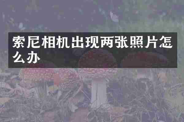 索尼相机出现两张照片怎么办