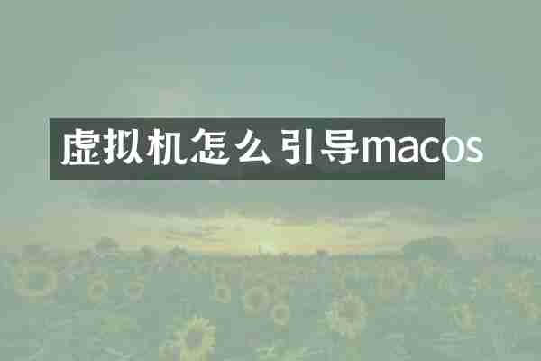 虚拟机怎么引导macos