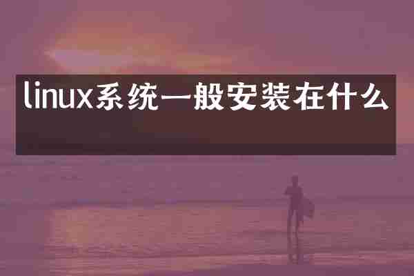 linux系统一般安装在什么上