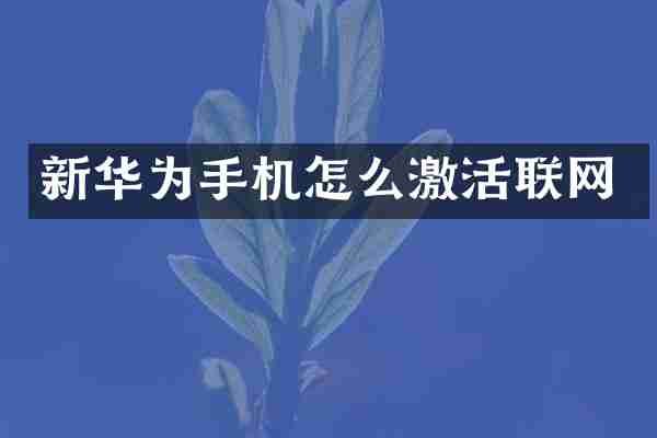新华为手机怎么激活联网