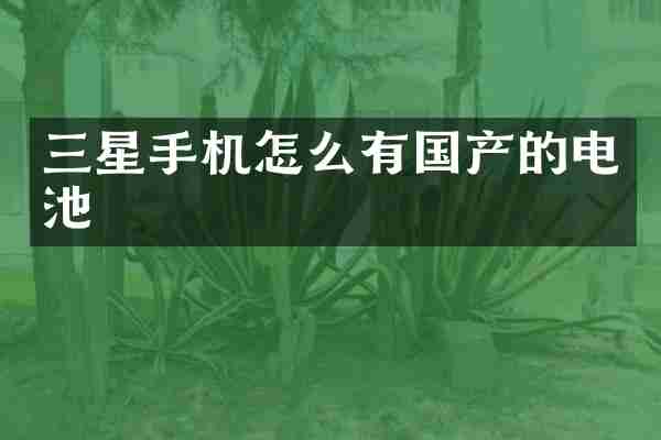 三星手机怎么有国产的电池