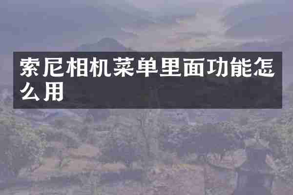 索尼相机菜单里面功能怎么用