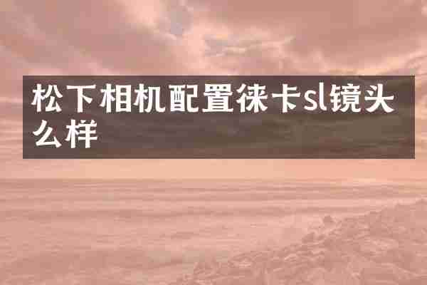 松下相机配置徕卡sl镜头怎么样
