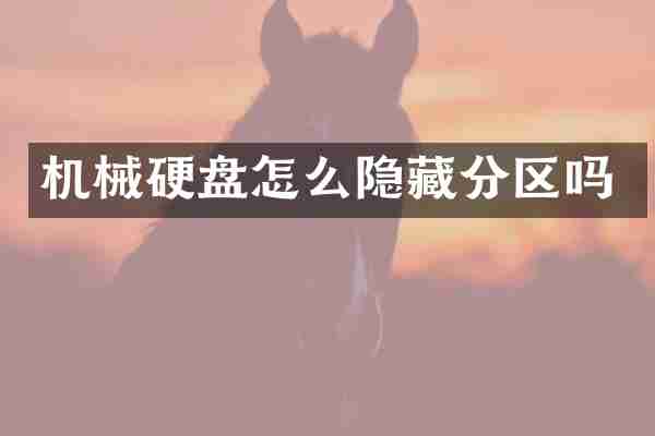 机械硬盘怎么隐藏分区吗