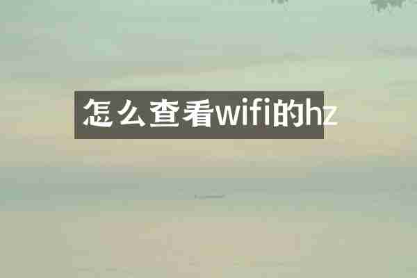 怎么查看wifi的hz