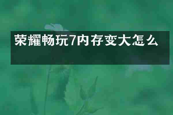 荣耀畅玩7内存变大怎么办