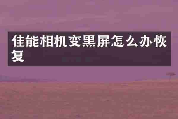 佳能相机变黑屏怎么办恢复