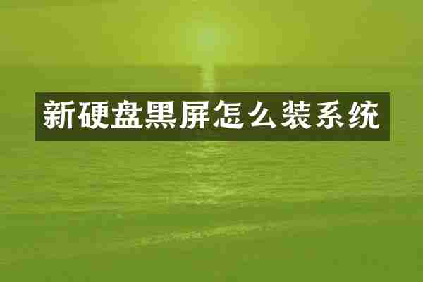 新硬盘黑屏怎么装系统