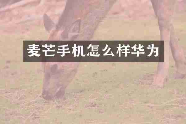 麦芒手机怎么样华为