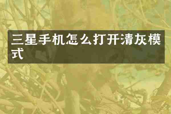 三星手机怎么打开清灰模式