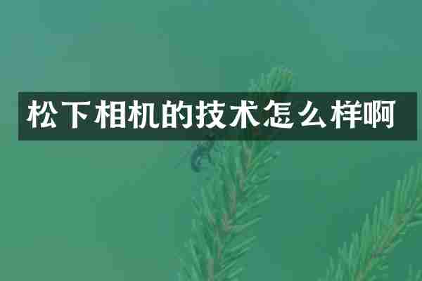 松下相机的技术怎么样啊
