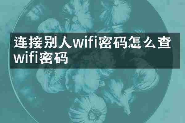 连接别人wifi密码怎么查看wifi密码