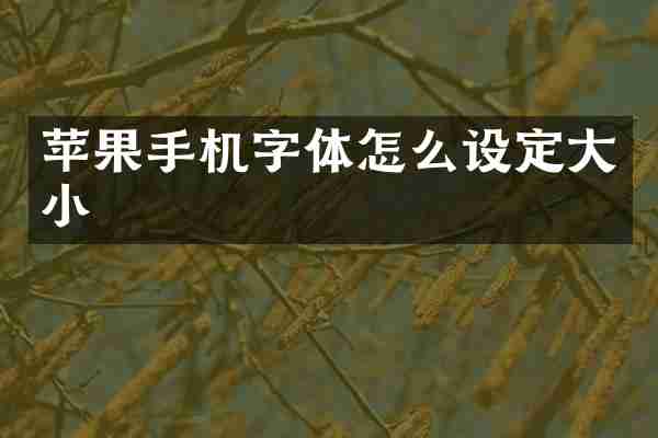 苹果手机字体怎么设定大小