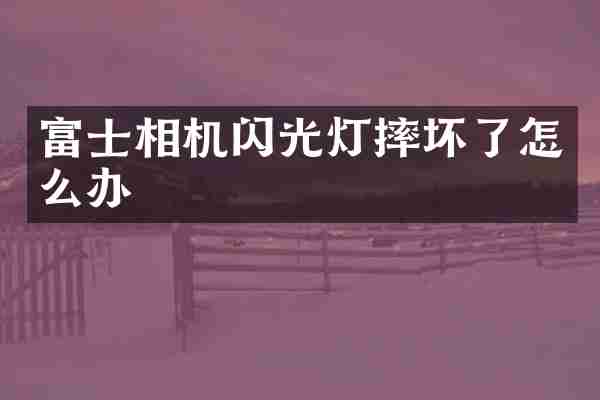 富士相机闪光灯摔坏了怎么办